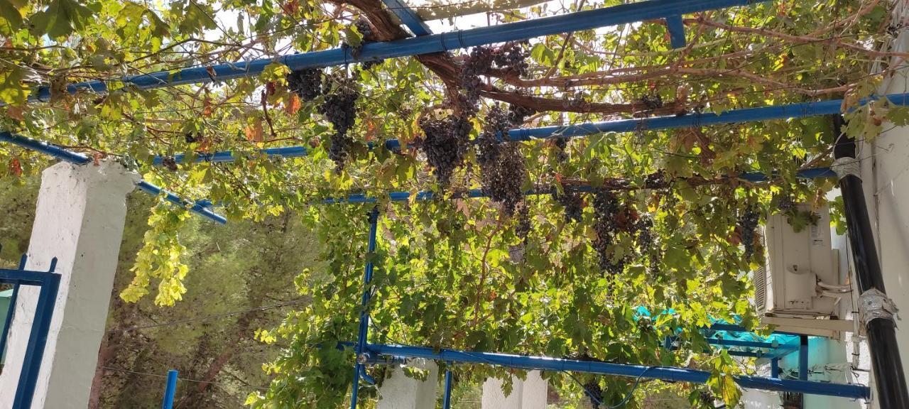 蒙特弗里奥Casa Lola别墅 外观 照片